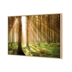Autumn Pine Forest 6 Autumn Pine Forest -WALL ART DESGIN SALE autumn pine forest canvas oak floating frame 45x30cm 218565