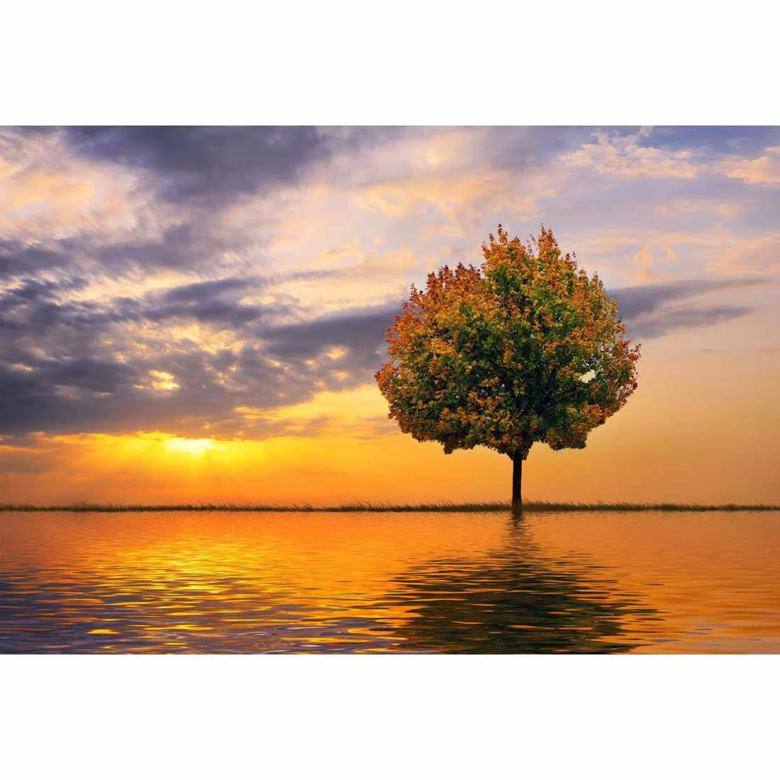 Autumn Reflection Canvas Art Autumn Reflection Canvas Art -WALL ART DESGIN SALE autumn reflection canvas art 45x30cm no frame 193302