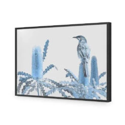 Banksia Beauty And Wattlebird -WALL ART DESGIN SALE banksia beauty and wattlebird acrylic glass no border black frame 45x30cm 842943
