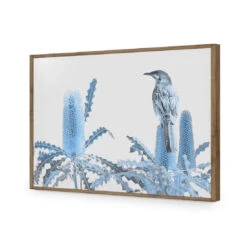 Banksia Beauty And Wattlebird -WALL ART DESGIN SALE banksia beauty and wattlebird acrylic glass no border natural frame 45x30cm 592106