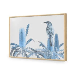 Banksia Beauty And Wattlebird -WALL ART DESGIN SALE banksia beauty and wattlebird acrylic glass no border oak frame 45x30cm 721024
