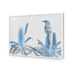 Banksia Beauty And Wattlebird -WALL ART DESGIN SALE banksia beauty and wattlebird acrylic glass no border white frame 45x30cm 455819