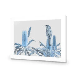 Banksia Beauty And Wattlebird -WALL ART DESGIN SALE banksia beauty and wattlebird acrylic glass with border no frame 45x30cm 335631