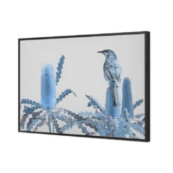 Banksia Beauty And Wattlebird -WALL ART DESGIN SALE banksia beauty and wattlebird canvas black floating frame 45x30cm 796166
