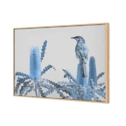 Banksia Beauty And Wattlebird -WALL ART DESGIN SALE banksia beauty and wattlebird canvas oak floating frame 45x30cm 873163