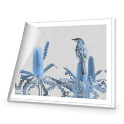 Banksia Beauty And Wattlebird -WALL ART DESGIN SALE banksia beauty and wattlebird canvas rolled canvas 45x30cm 581314