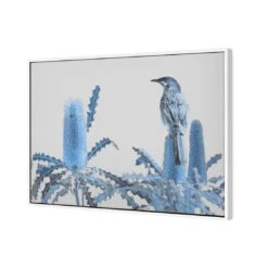 Banksia Beauty And Wattlebird -WALL ART DESGIN SALE banksia beauty and wattlebird canvas white floating frame 45x30cm 792092