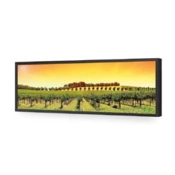 Barossa Vineyards (Long) -WALL ART DESGIN SALE barossa vineyards long acrylic glass no border black frame 90x30cm 883586