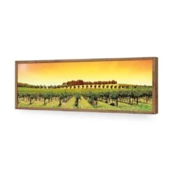 Barossa Vineyards (Long) -WALL ART DESGIN SALE barossa vineyards long acrylic glass no border natural frame 90x30cm 219483