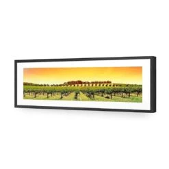 Barossa Vineyards (Long) -WALL ART DESGIN SALE barossa vineyards long acrylic glass with border black frame 90x30cm 562500