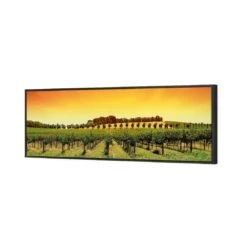 Barossa Vineyards (Long) -WALL ART DESGIN SALE barossa vineyards long canvas black floating frame 60x20cm 340020