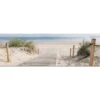 Beach Path Long Canvas Art 1 Beach Path Long Canvas Art -WALL ART DESGIN SALE beach path long canvas art 60x20cm no frame 126895