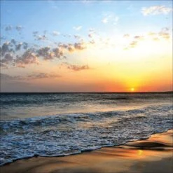 Beautiful Day Canvas Art