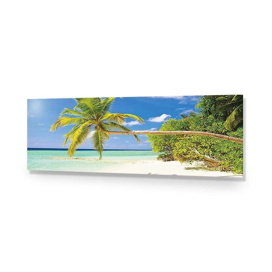 Bending Palm Tree (Long) Bending Palm Tree (Long) -WALL ART DESGIN SALE bending palm tree long acrylic glass no border no frame 90x30cm 605485