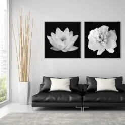Black And White Bloom Perfect Pair