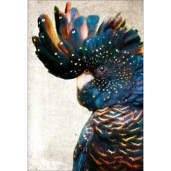 Black Cockatoo Side, Grunge Acrylic Print Art