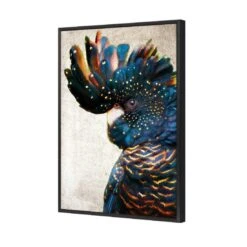 Black Cockatoo Side, Grunge Canvas Art -WALL ART DESGIN SALE black cockatoo side grunge canvas art 45x30cm black frame 474230