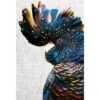 Black Cockatoo Side, Linen Canvas Art