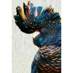 Black Cockatoo Side, Paper Acrylic Print Art