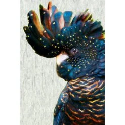 Black Cockatoo Side, Paper Canvas Art