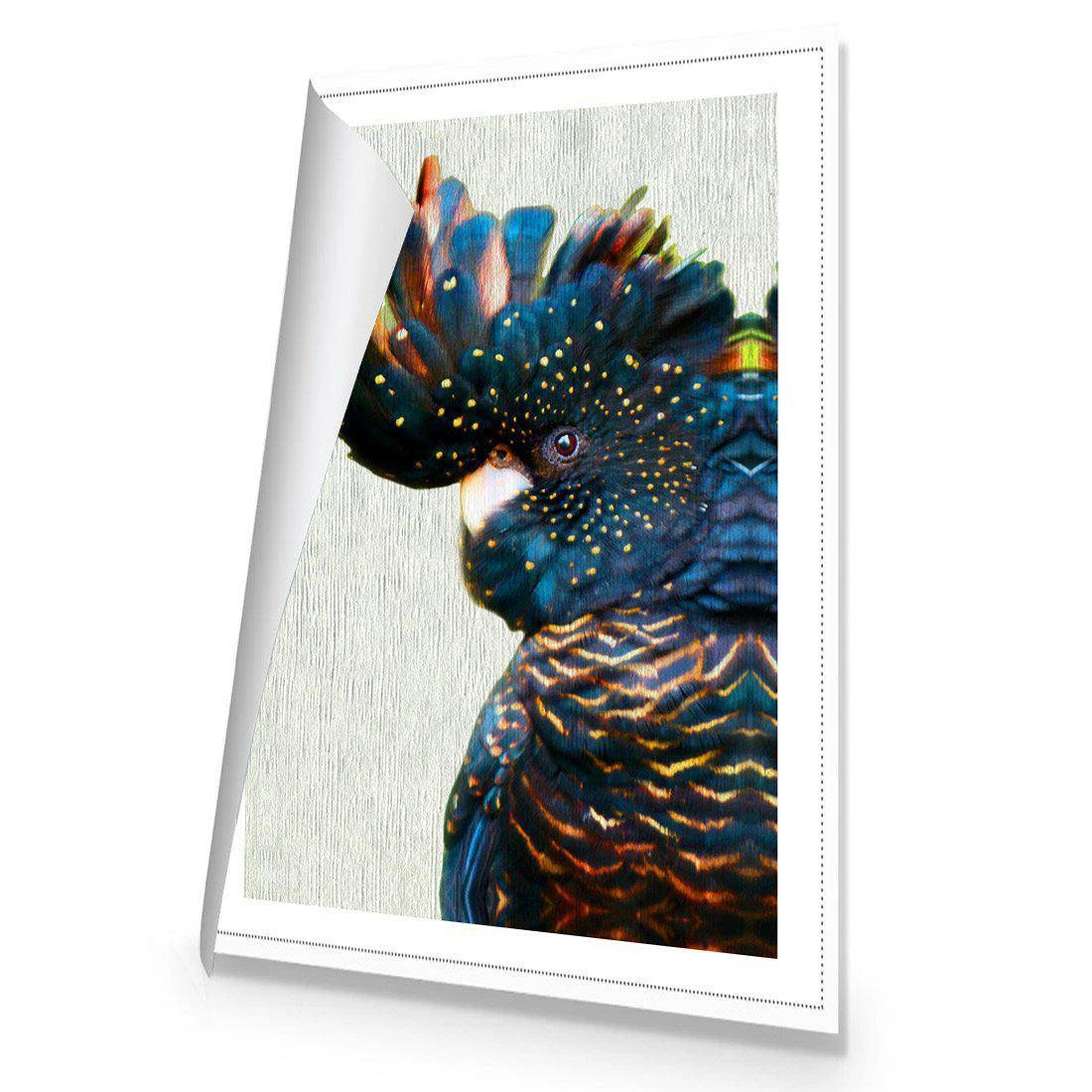 Black Cockatoo Side, Paper Canvas Art Black Cockatoo Side, Paper Canvas Art -WALL ART DESGIN SALE black cockatoo side paper canvas art 45x30cm rolled canvas 932370
