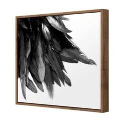 Black Feather Tail, B&W Canvas Art 6 Black Feather Tail, B&W Canvas Art -WALL ART DESGIN SALE black feather tail bw canvas art 30x30cm natural frame 277845