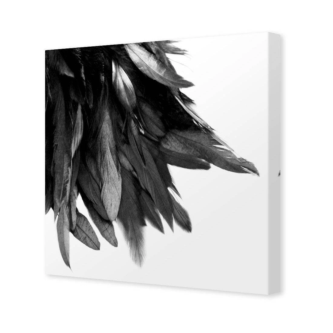 Black Feather Tail, B&W Canvas Art Black Feather Tail, B&W Canvas Art -WALL ART DESGIN SALE black feather tail bw canvas art 30x30cm no frame 357990