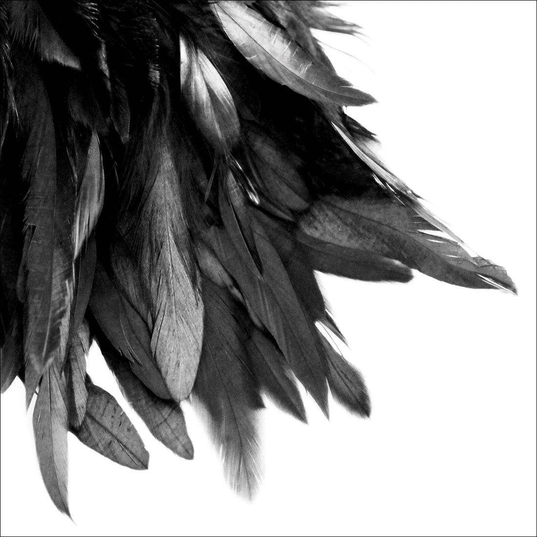 Black Feather Tail, B&W Canvas Art Black Feather Tail, B&W Canvas Art -WALL ART DESGIN SALE black feather tail bw canvas art 30x30cm no frame 767453