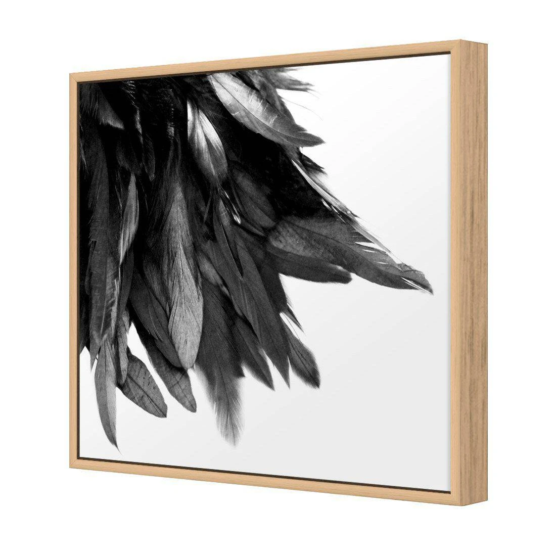 Black Feather Tail, B&W Canvas Art Black Feather Tail, B&W Canvas Art -WALL ART DESGIN SALE black feather tail bw canvas art 30x30cm oak frame 596166