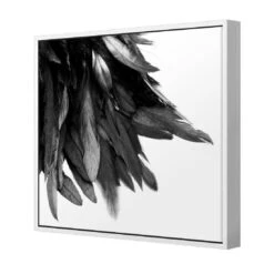 Black Feather Tail, B&W Canvas Art 5 Black Feather Tail, B&W Canvas Art -WALL ART DESGIN SALE black feather tail bw canvas art 30x30cm white frame 111416