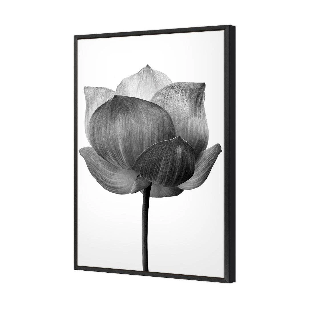 Black Lotus Canvas Art Black Lotus Canvas Art -WALL ART DESGIN SALE black lotus canvas art 45x30cm black frame 726619