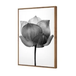Black Lotus Canvas Art 6 Black Lotus Canvas Art -WALL ART DESGIN SALE black lotus canvas art 45x30cm natural frame 862279