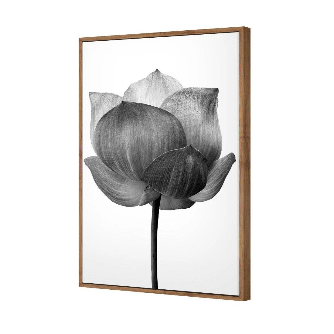 Black Lotus Canvas Art Black Lotus Canvas Art -WALL ART DESGIN SALE black lotus canvas art 45x30cm natural frame 862279