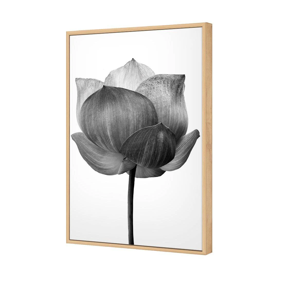 Black Lotus Canvas Art Black Lotus Canvas Art -WALL ART DESGIN SALE black lotus canvas art 45x30cm oak frame 898835