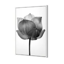 Black Lotus Canvas Art 5 Black Lotus Canvas Art -WALL ART DESGIN SALE black lotus canvas art 45x30cm white frame 856398
