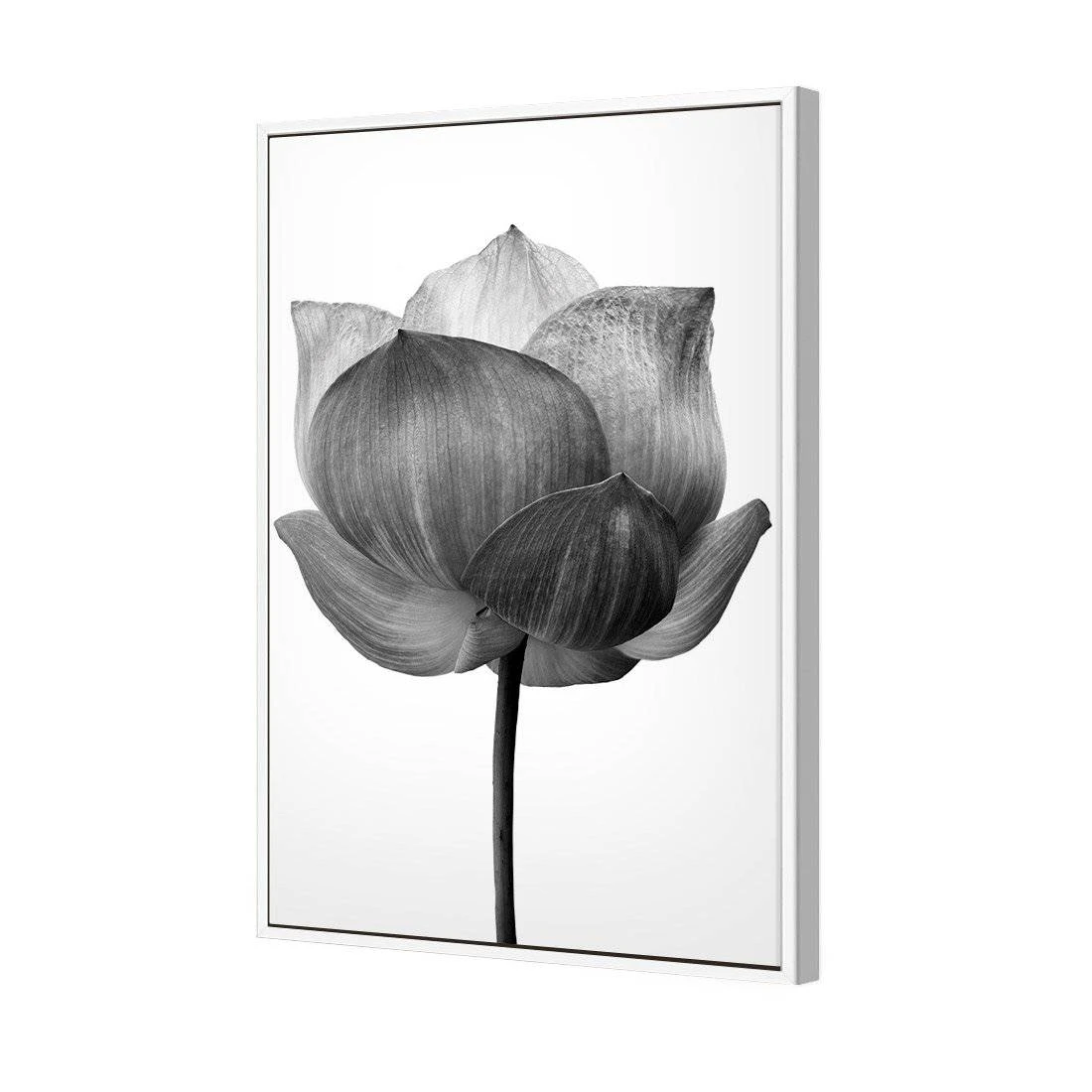 Black Lotus Canvas Art Black Lotus Canvas Art -WALL ART DESGIN SALE black lotus canvas art 45x30cm white frame 856398