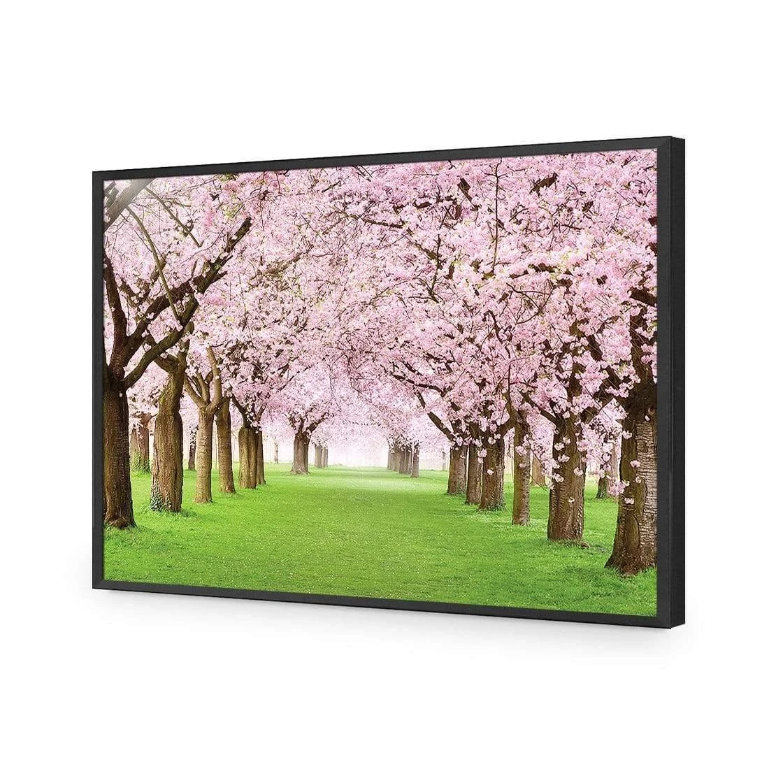 Blossom Parade Blossom Parade -WALL ART DESGIN SALE blossom parade acrylic glass no border black frame 45x30cm 551199