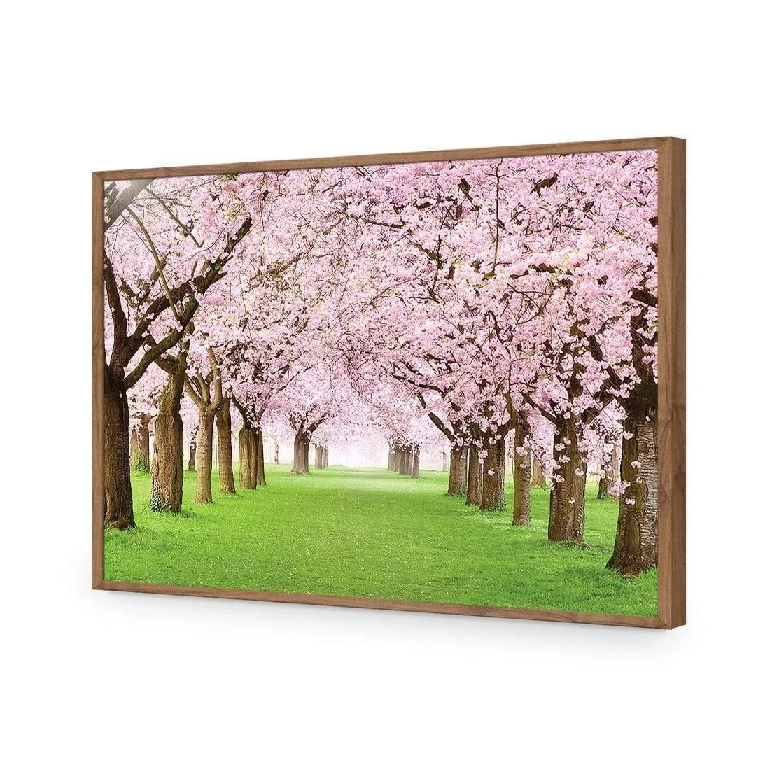 Blossom Parade Blossom Parade -WALL ART DESGIN SALE blossom parade acrylic glass no border natural frame 45x30cm 675719