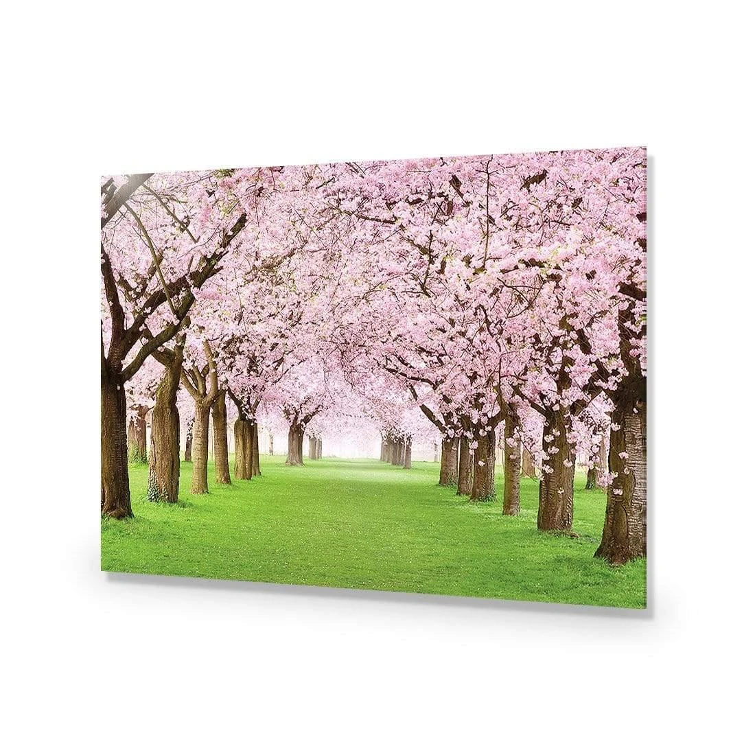 Blossom Parade Blossom Parade -WALL ART DESGIN SALE blossom parade acrylic glass no border no frame 45x30cm 659543