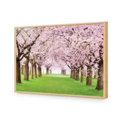 Blossom Parade 17 Blossom Parade -WALL ART DESGIN SALE blossom parade acrylic glass no border oak frame 45x30cm 248120