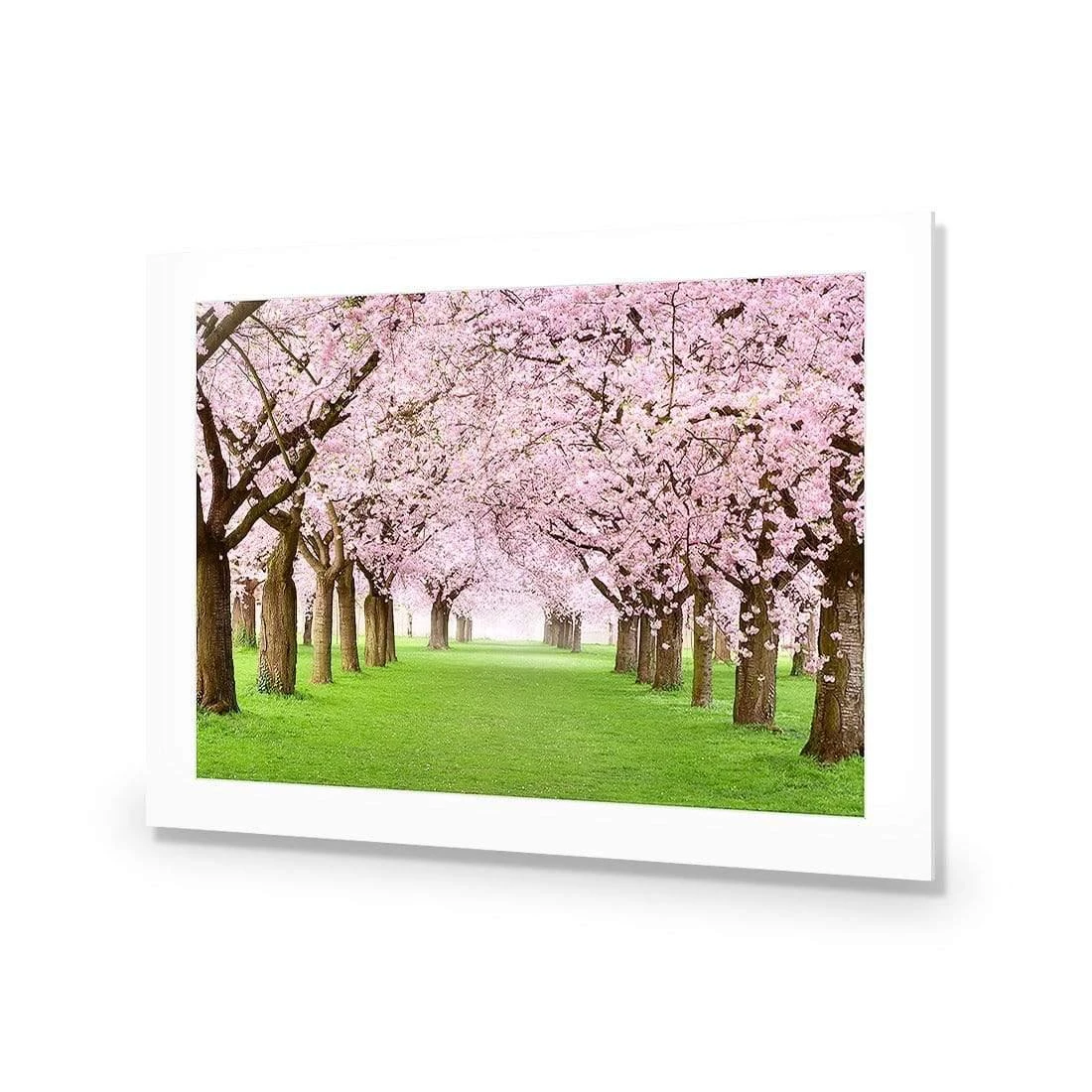 Blossom Parade Blossom Parade -WALL ART DESGIN SALE blossom parade acrylic glass with border no frame 45x30cm 245216