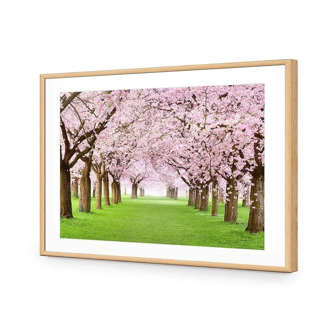 Blossom Parade Blossom Parade -WALL ART DESGIN SALE blossom parade acrylic glass with border oak frame 45x30cm 712293