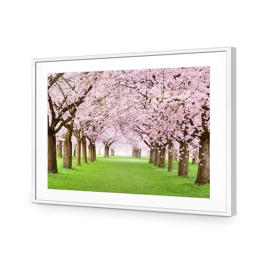 Blossom Parade Blossom Parade -WALL ART DESGIN SALE blossom parade acrylic glass with border white frame 45x30cm 341405