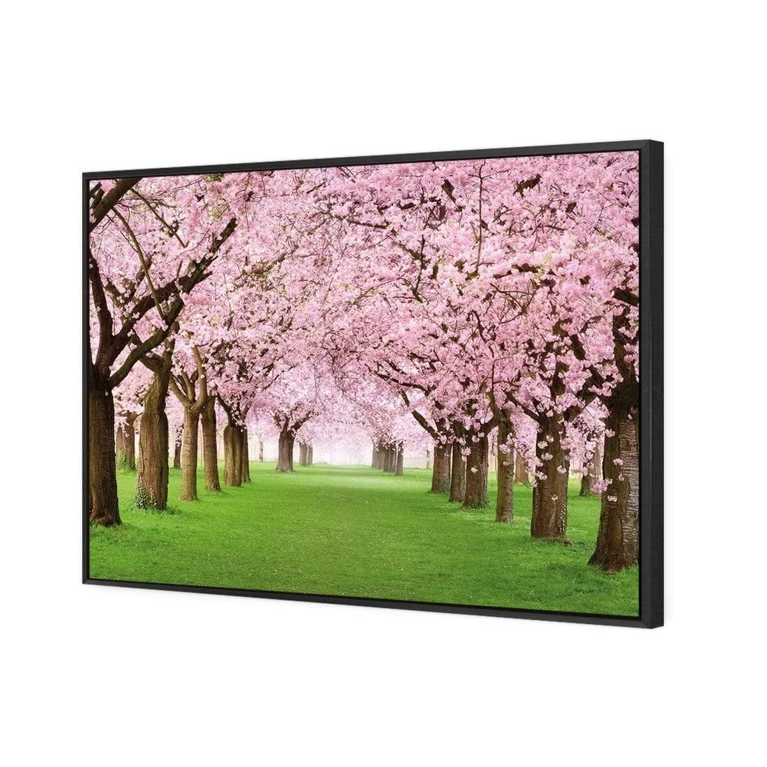 Blossom Parade Blossom Parade -WALL ART DESGIN SALE blossom parade canvas black floating frame 45x30cm 735271