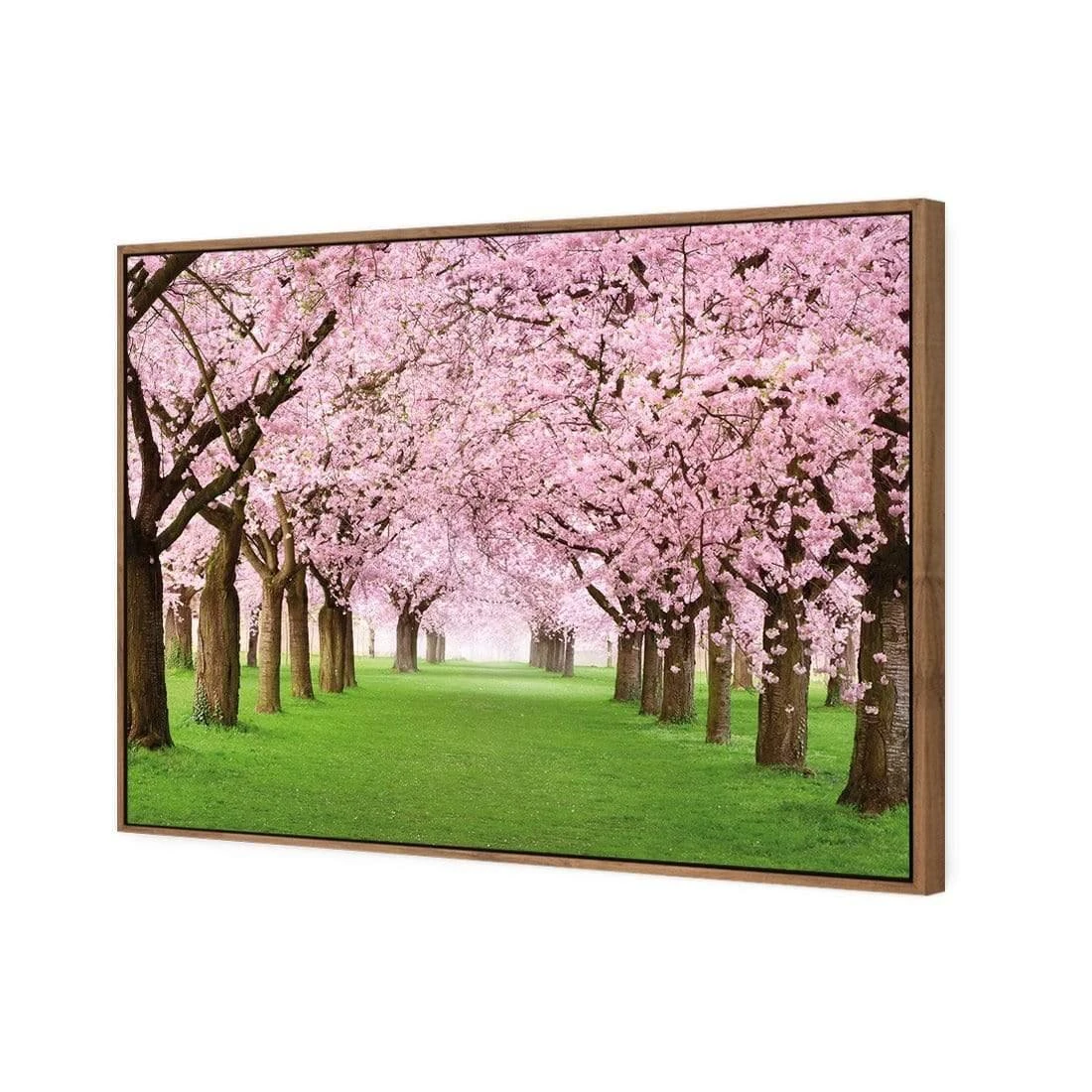 Blossom Parade Blossom Parade -WALL ART DESGIN SALE blossom parade canvas natural floating frame 45x30cm 939854