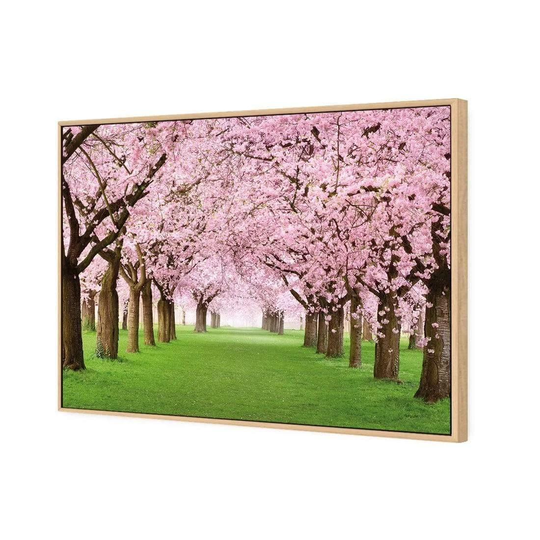 Blossom Parade Blossom Parade -WALL ART DESGIN SALE blossom parade canvas oak floating frame 45x30cm 964600