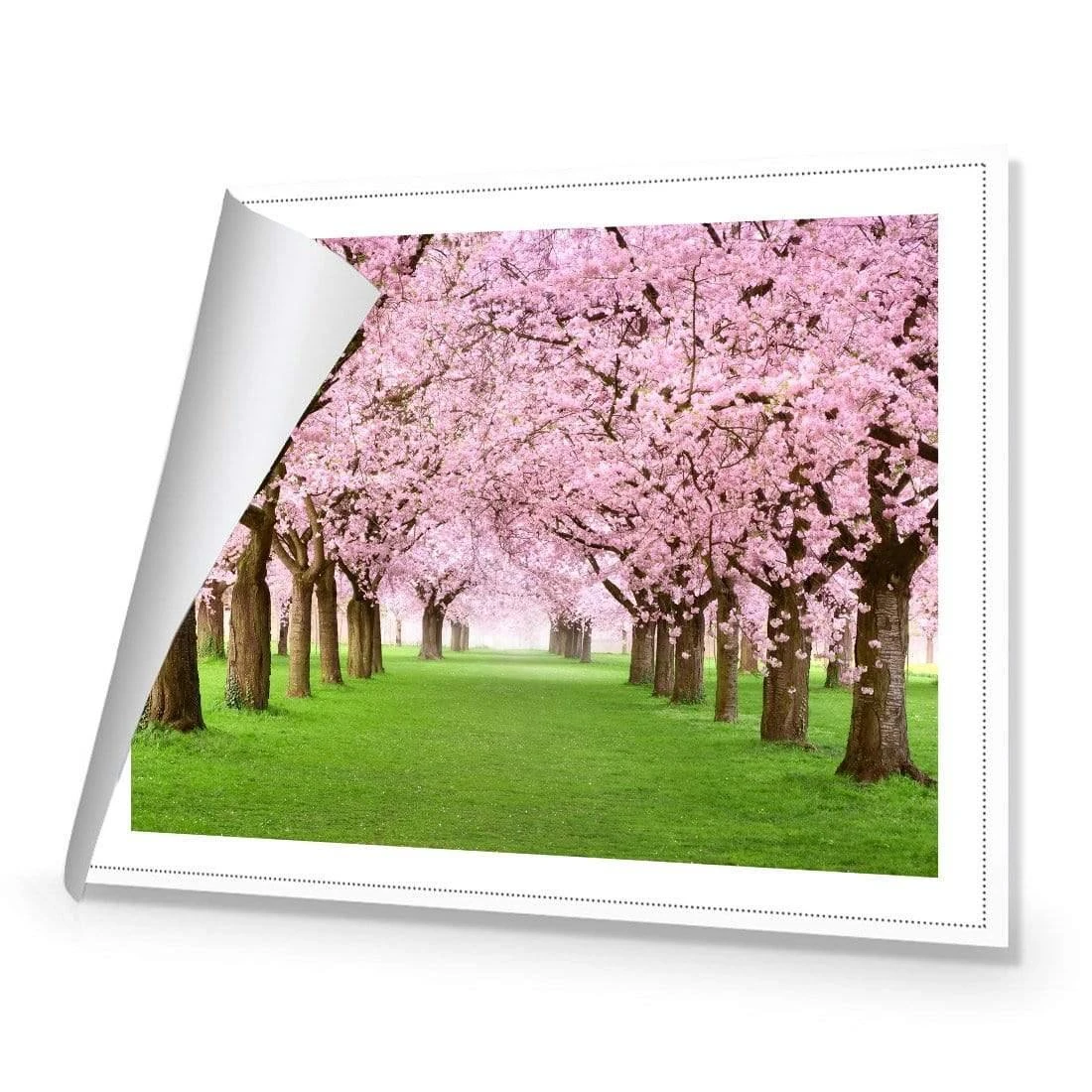Blossom Parade Blossom Parade -WALL ART DESGIN SALE blossom parade canvas rolled canvas 45x30cm 239509