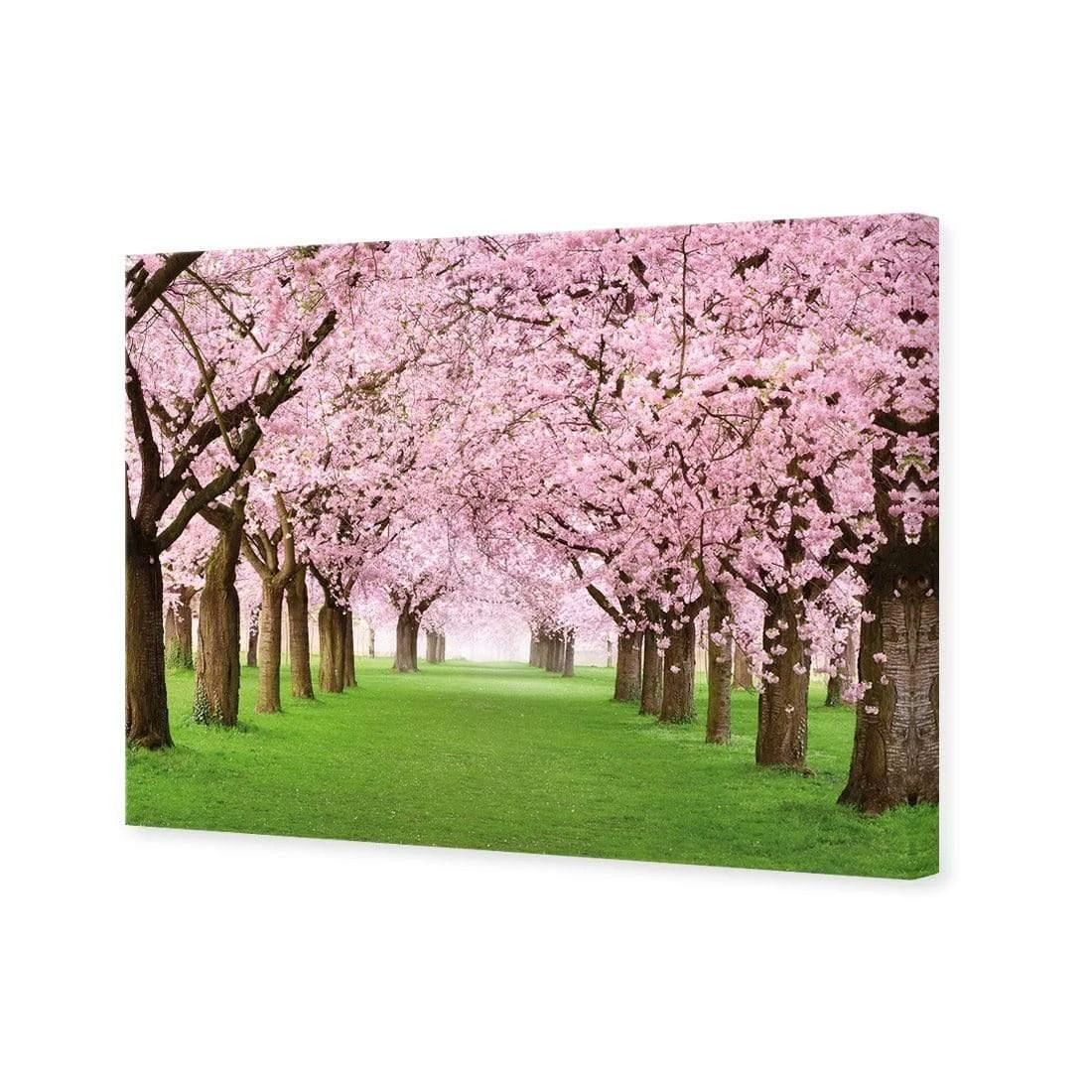 Blossom Parade Blossom Parade -WALL ART DESGIN SALE blossom parade canvas stretched canvas 45x30cm 636072