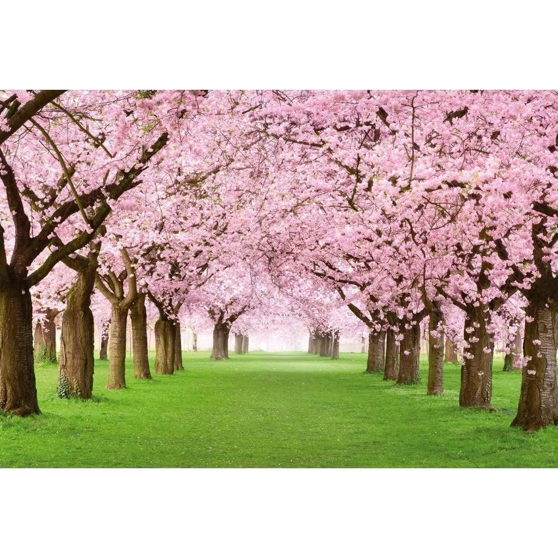 Blossom Parade Blossom Parade -WALL ART DESGIN SALE blossom parade canvas stretched canvas 45x30cm 736906