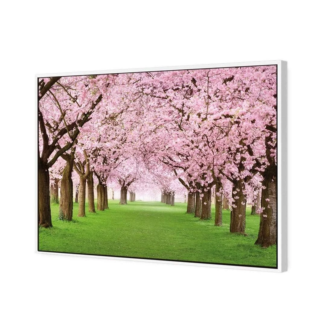 Blossom Parade Blossom Parade -WALL ART DESGIN SALE blossom parade canvas white floating frame 45x30cm 937137